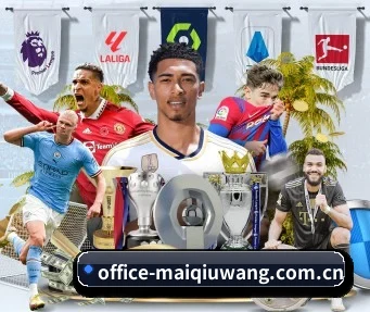 买球网 APP(maiqiuwang)